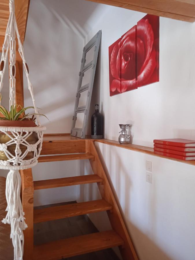 Charmante Petite Maison Bergerac Eksteriør billede